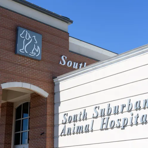 South Suburban Animal Hospital Front Sign